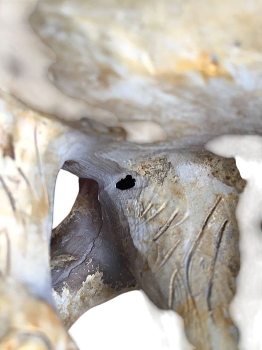 Статуэтка грошові слони. Фен Шуй