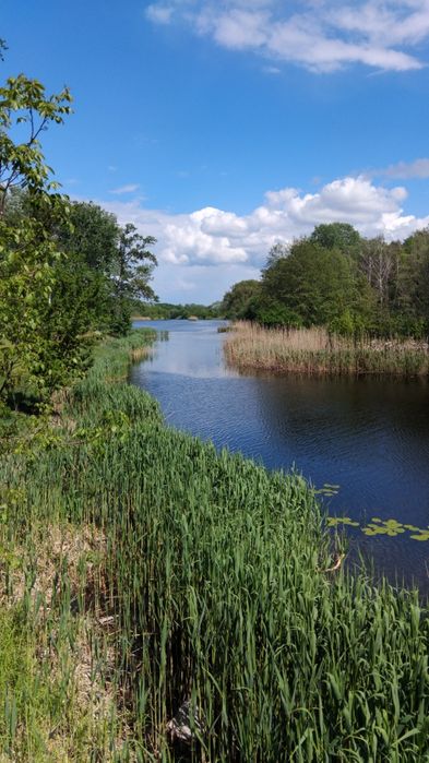 Будинок подобово Миргород