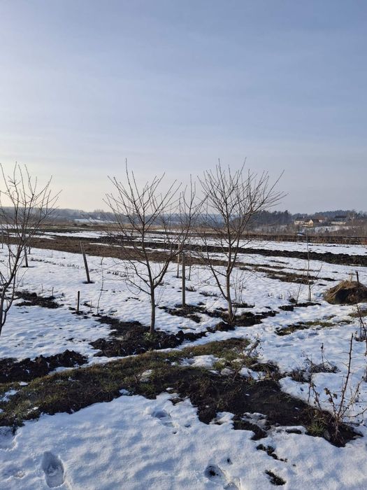 Продаж земельної ділянки під забудову м.Почаїв