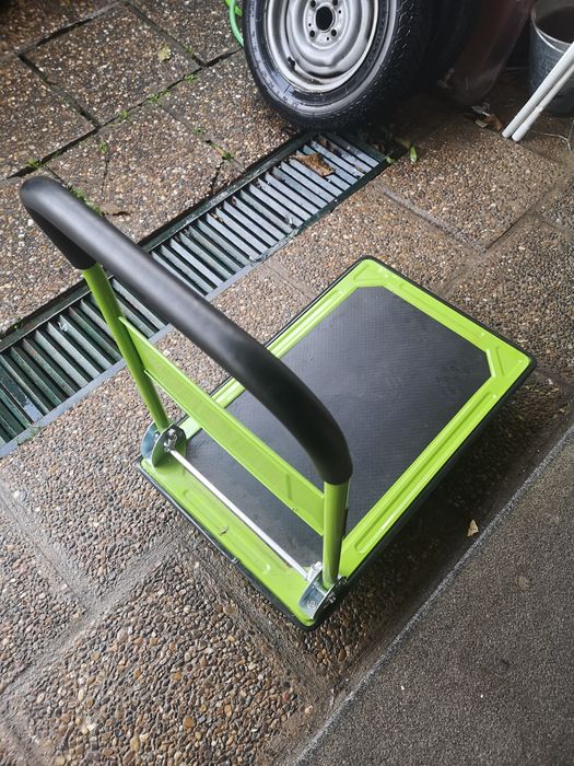 Carro de transporte plataforma 150KG