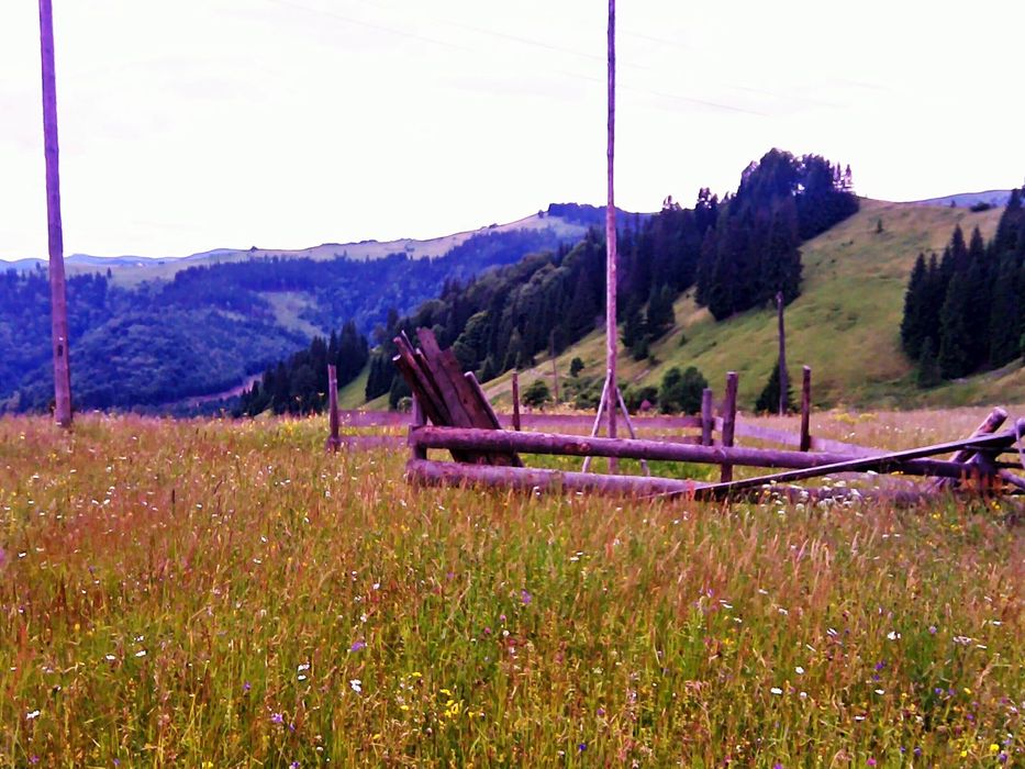 Земельна ділянка. КАРПАТИ