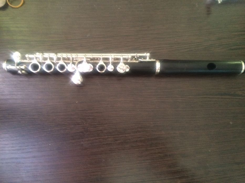 Ремонт флейт (быстро, с гарантией)