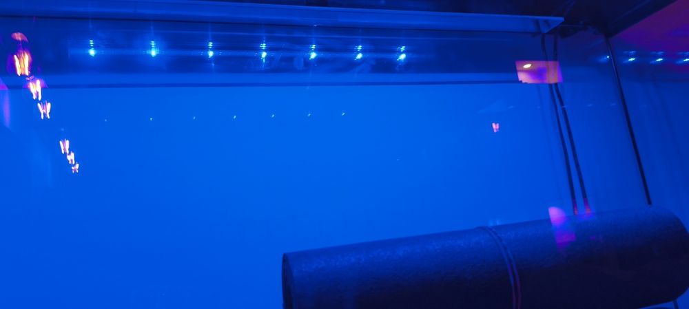Akwarium Aquael  160 litrów z pokrywą, światłem i szafką.