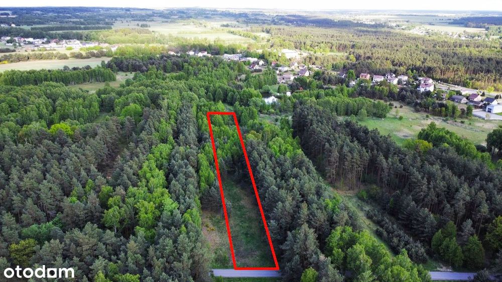 Wspaniałe miejsce w środku lasu !! Objęta MPZP! BUDOWLANA !!