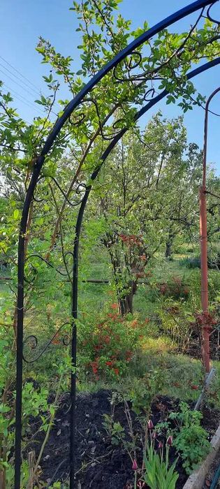 Арка садовая розбірна