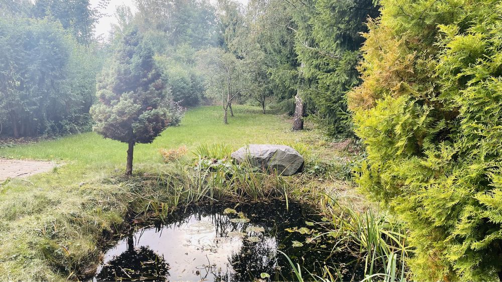 Pokój do wynajęcia