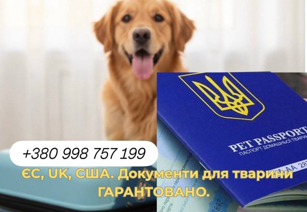 Титри на сказ для тварин