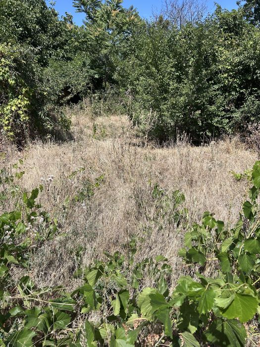 Ділянка під будівництво
