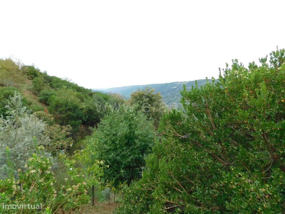 Quintinha / Seia, Sandomil