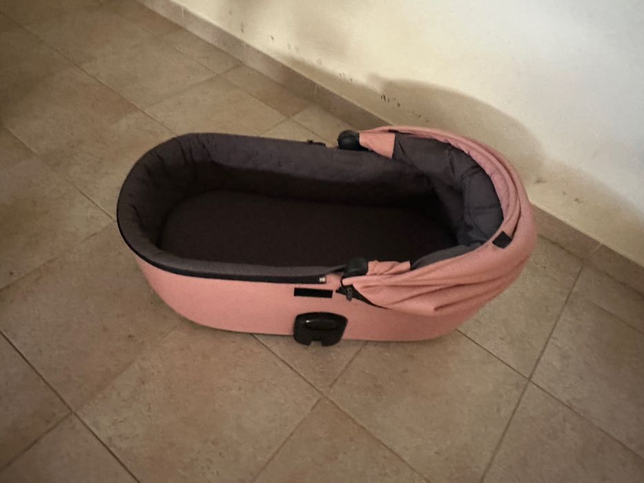 Alcofa rosa Anex nova