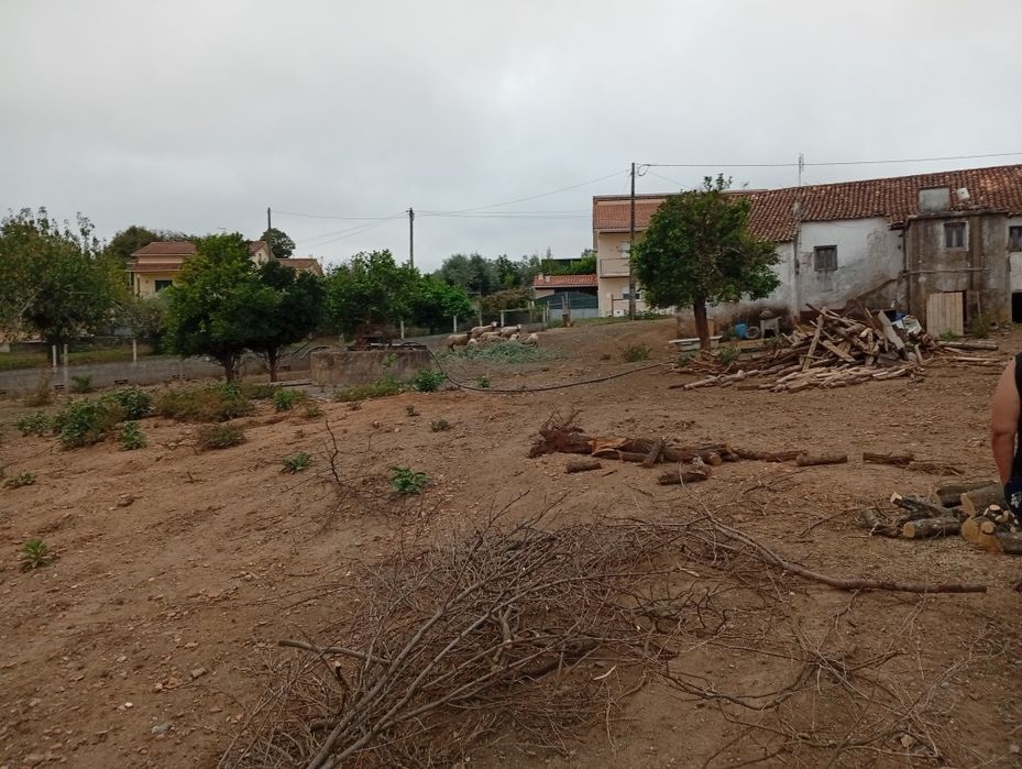 Quinta com moradia para recuperar