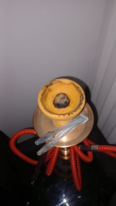 Chicha red camel
