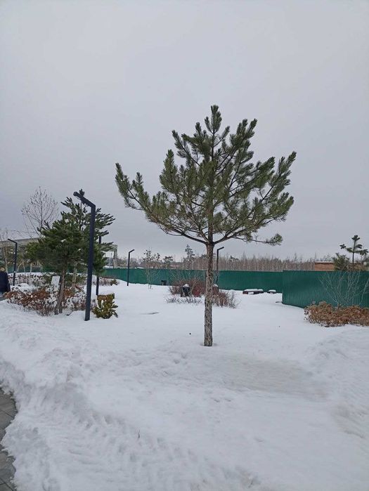 ЖК PARK ROYAL. Елітна нерухомість в Бучі. Газ. Є-оселя