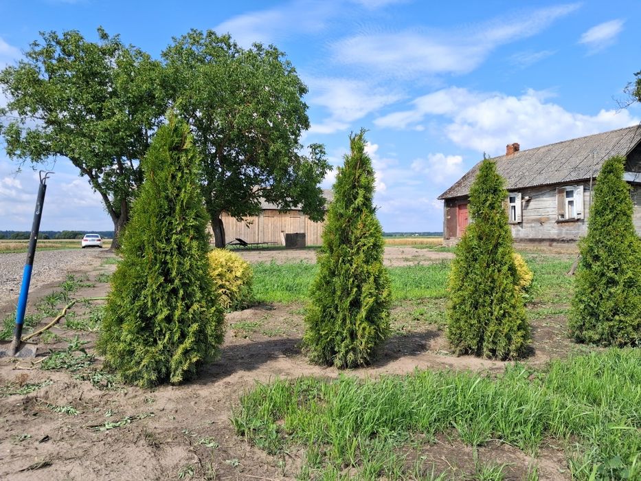 Siedlisko Rozwadówka