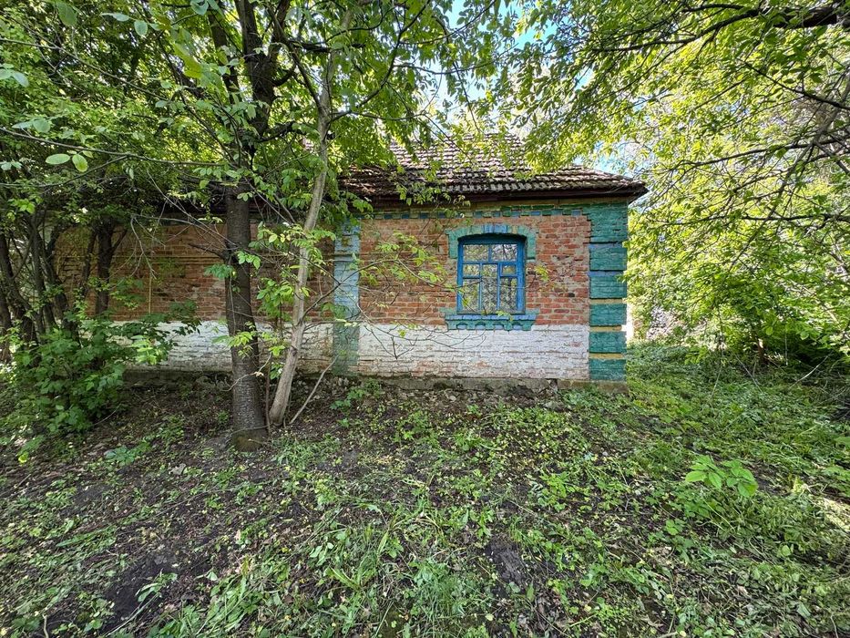 Продаж будинку з великою земельною ділянкою в с. Великі Крушлинці