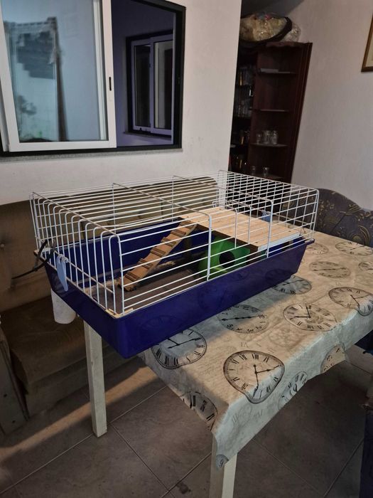 Gaiola para roedores