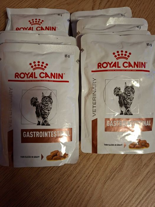 Royal canin saszetki dla kota Gastrointestinal