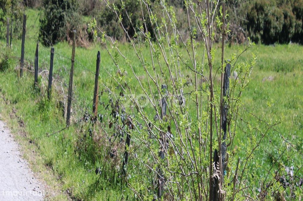 Terreno Único à Venda no Coração do Vale do Demo – Moimenta da Bei...