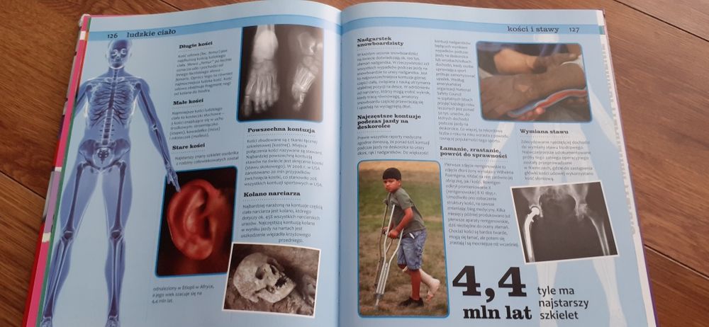 Niezwykłe fakty. Olesiejuk