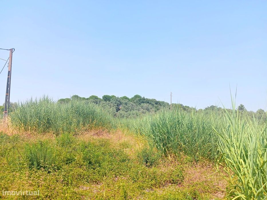 Terreno para Venda - 707 m²