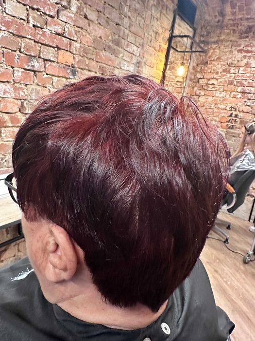 Botoks włosów • Nanoplastia • Regeneracja | Mobilnie