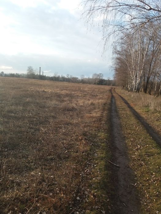 Земельна ділянка