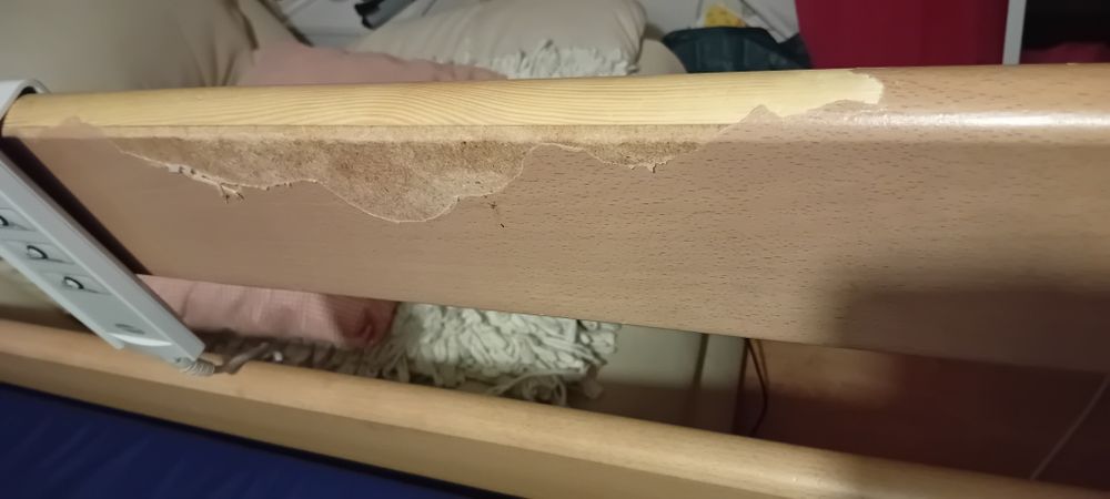 Cama articulada Invacare