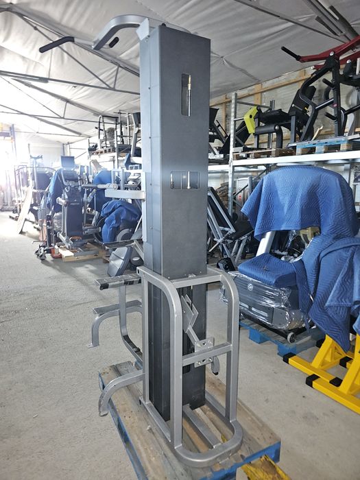 Asystent podciągania Chin Dip Cybex
