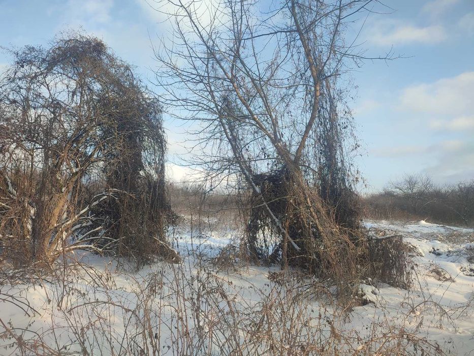Продається ділянка в Агрономічному