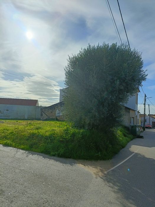 Terreno urbano torres novas
 
Todos documentos em dia