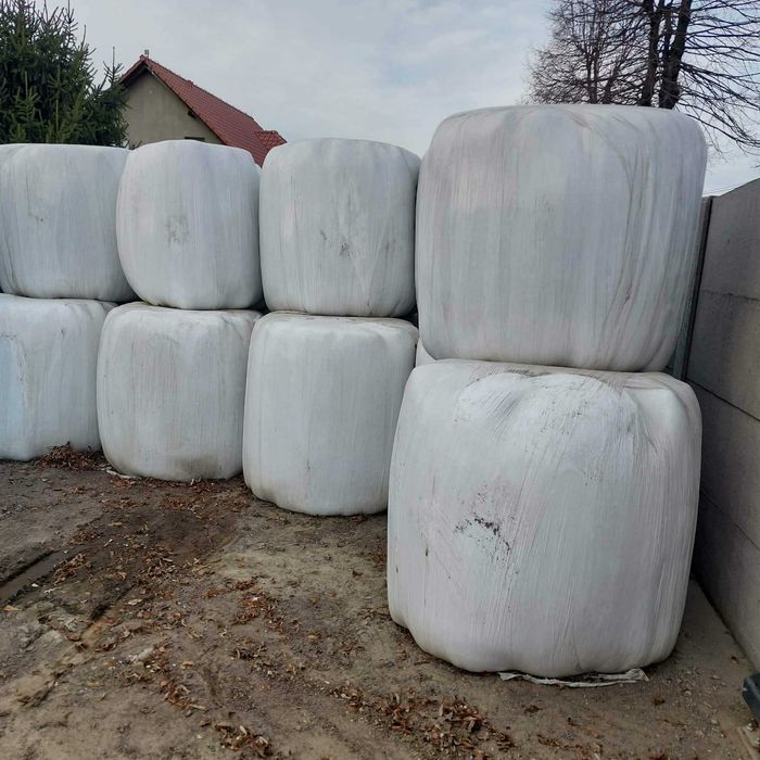 Sianokiszonka baloty zbiory 2025