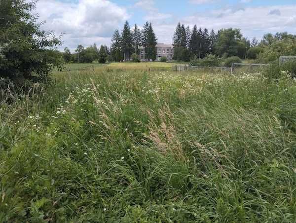 Продаж дачі в Бердичівському районі