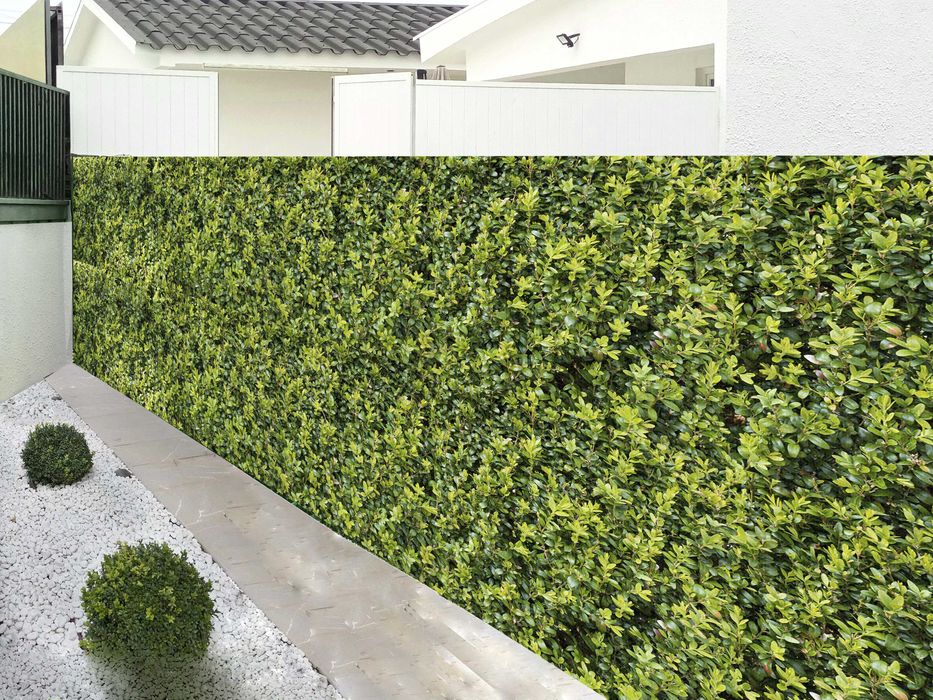 Tela micro perfurada de vedação engana olho imitação sebes