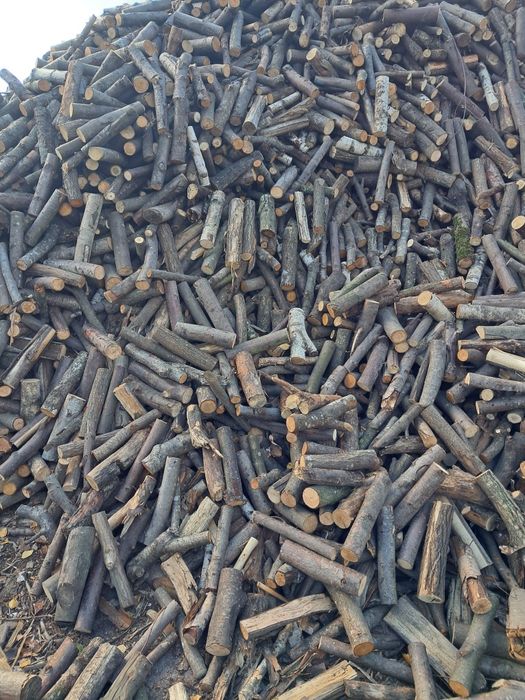 Suche drewno opałowe/kominkowe z transportem