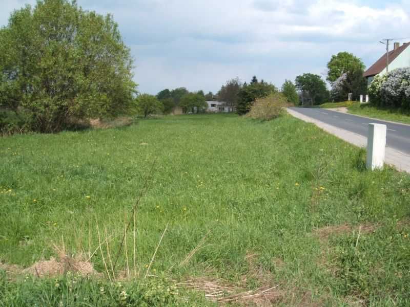 Wynajmę działkę 5200 m2 front 120m przy ul Morasko Poznań