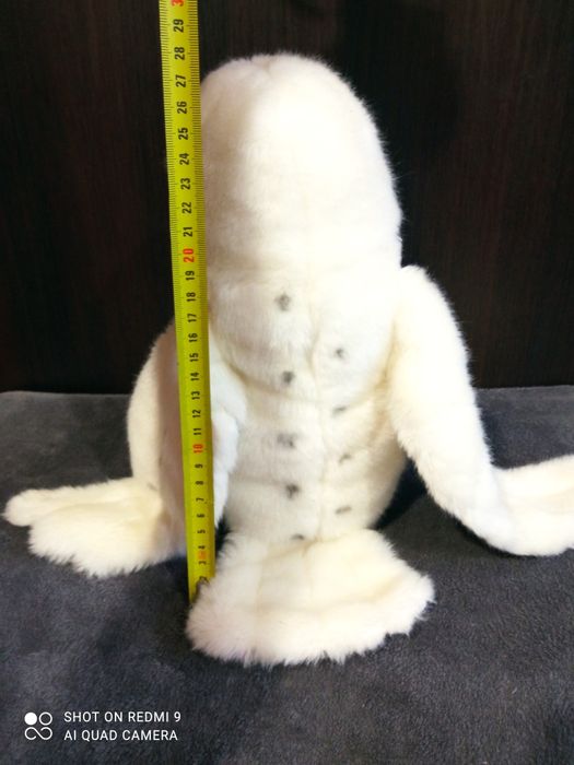 Кот, белая сова Хедвиг, собака