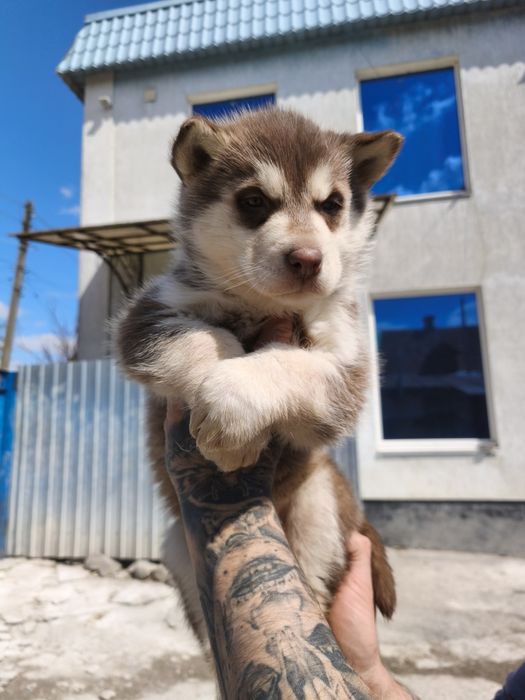 Хлопчик та дівчинка