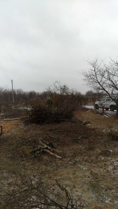 Дробление 1000, измельчение веток (1100 грн/час)