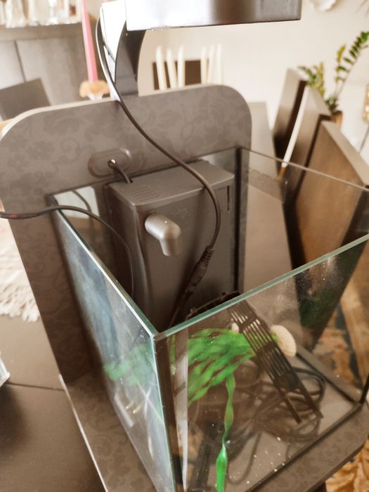 Aquário para peixes