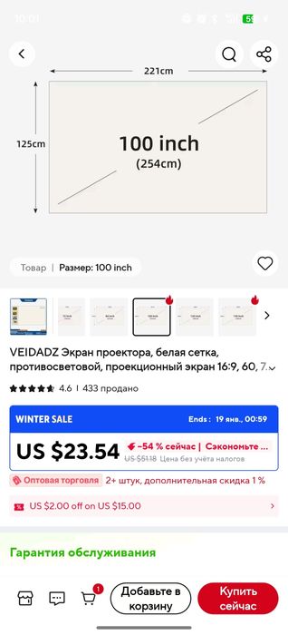 VEIDADZ екран для проектора 100 дюймів (254см) портативний