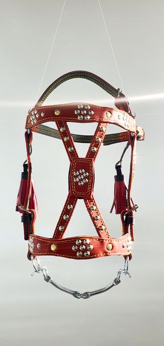 Вуздечка шкіряна,з шорками і без шорок, ручна робота