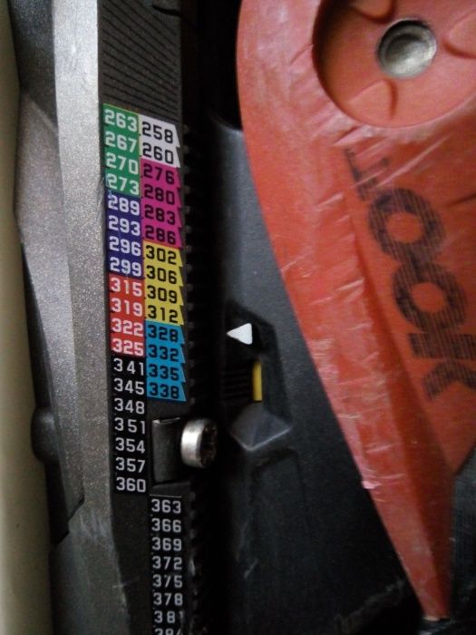 Гірські лижі Dynastar 166 см (Франція) — комфортне катання