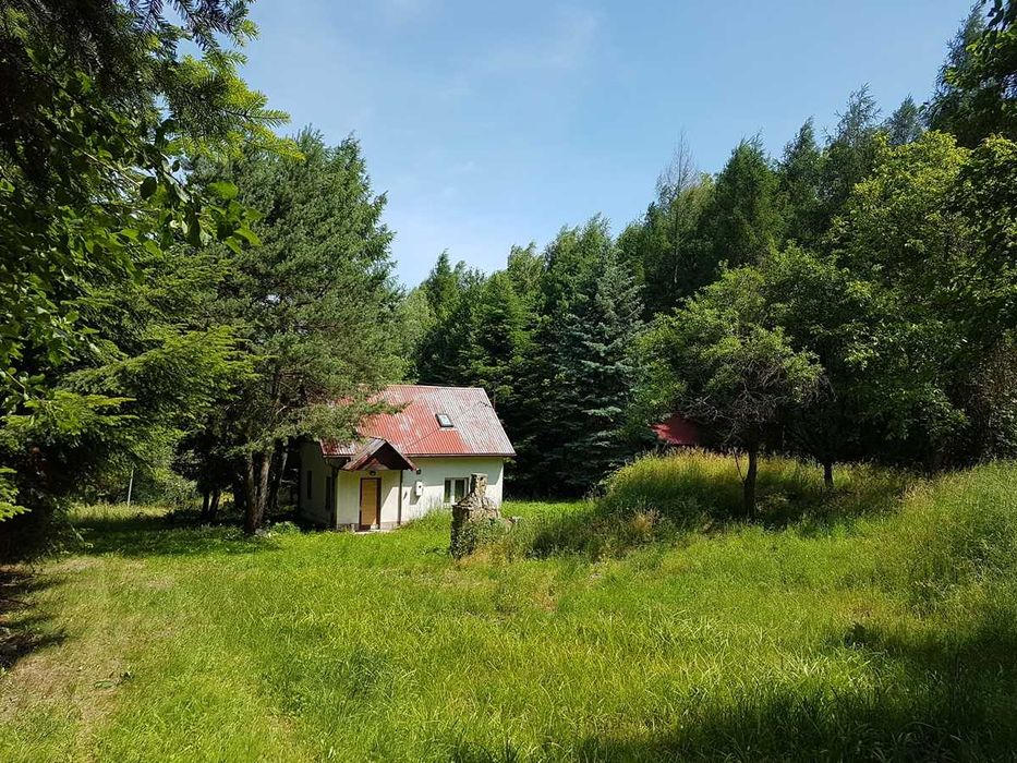Tyczyn k. Rzeszowa - dom na wyjątkowej działce 5085 m² przy lesie