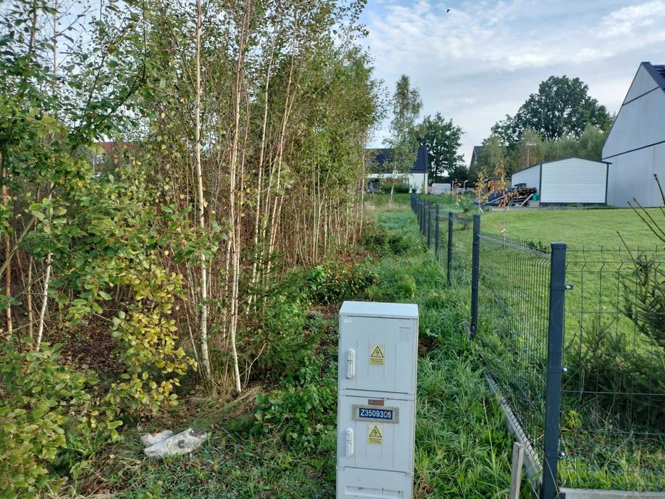 Mulczer leśny Wycinka drzew mulczowanie terenu oczyszczenie dzialek