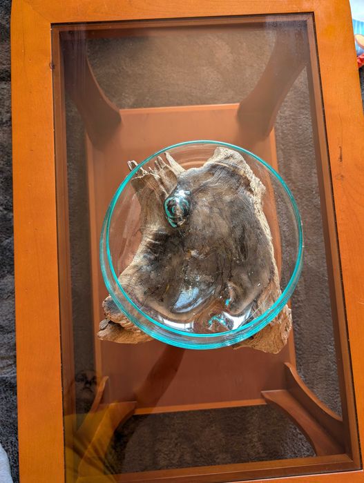 Terrário de Vidro em Madeira Fundida