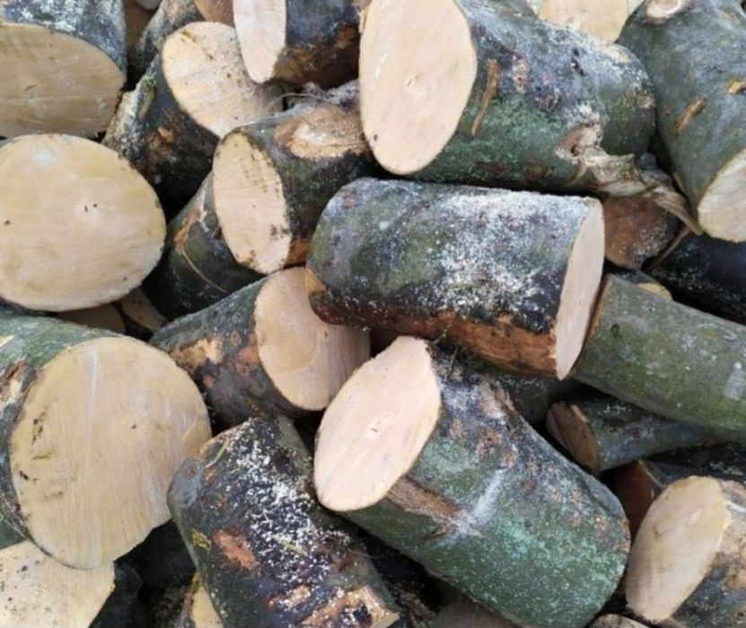 Drewno opałowe, kominkowe, sezonowane
