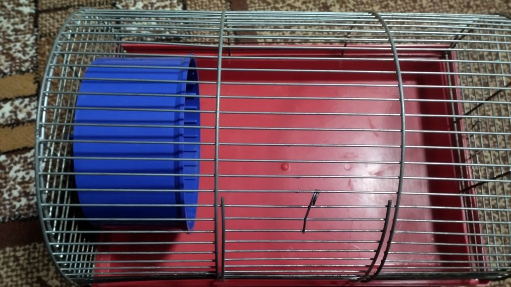 Клітка для гризунів.хомячок