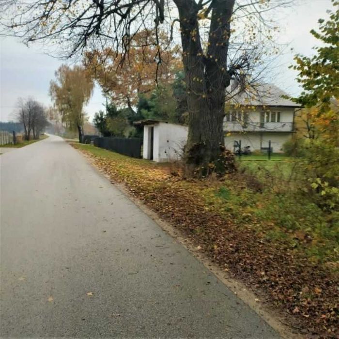 Działka w Lisewie,7300m2,BEZPOŚREDNIO!