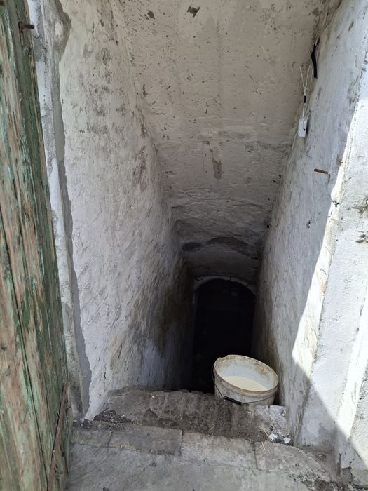 С. Семенівка продаж будинку з земельною ділянкою