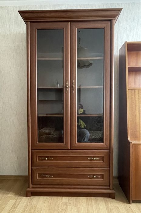 Witrynka biblioteczka